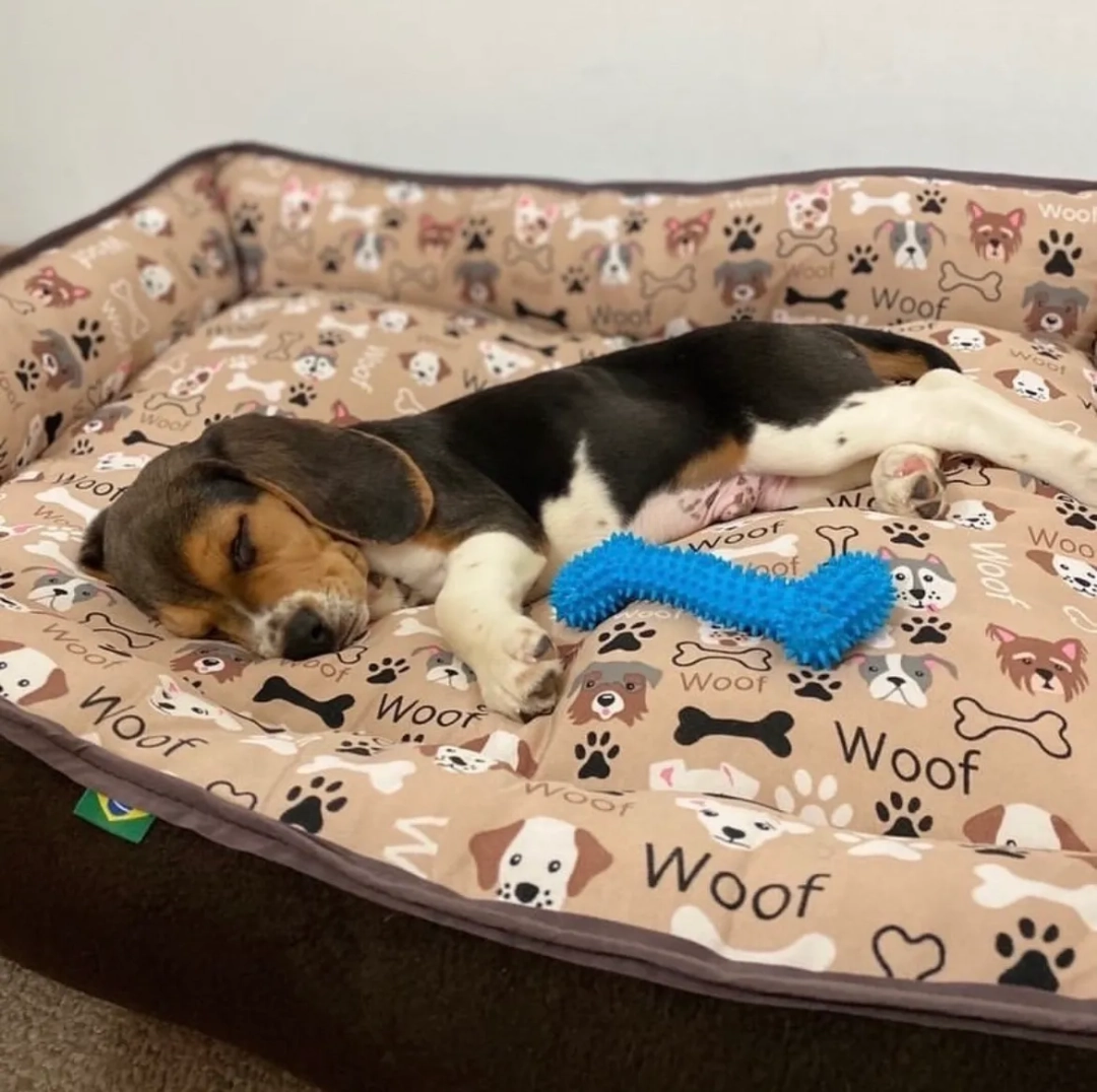 cama-clasica-camasfilinhas