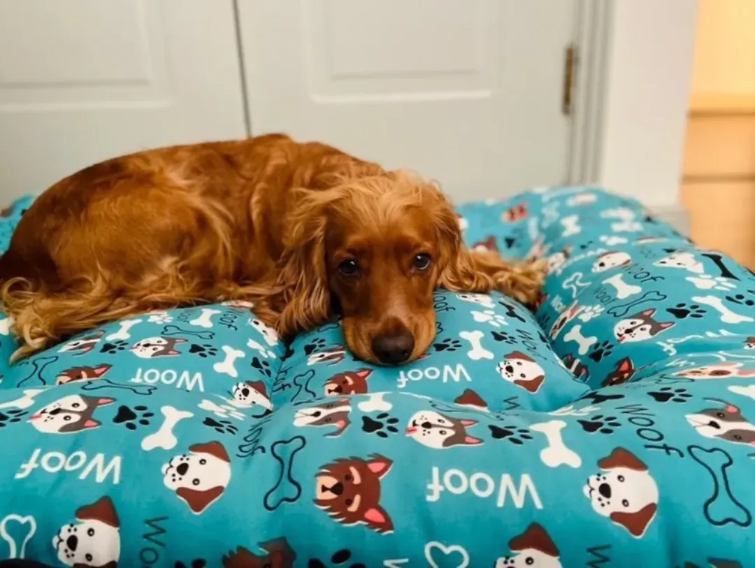 colchon-plano-camasfilinhas